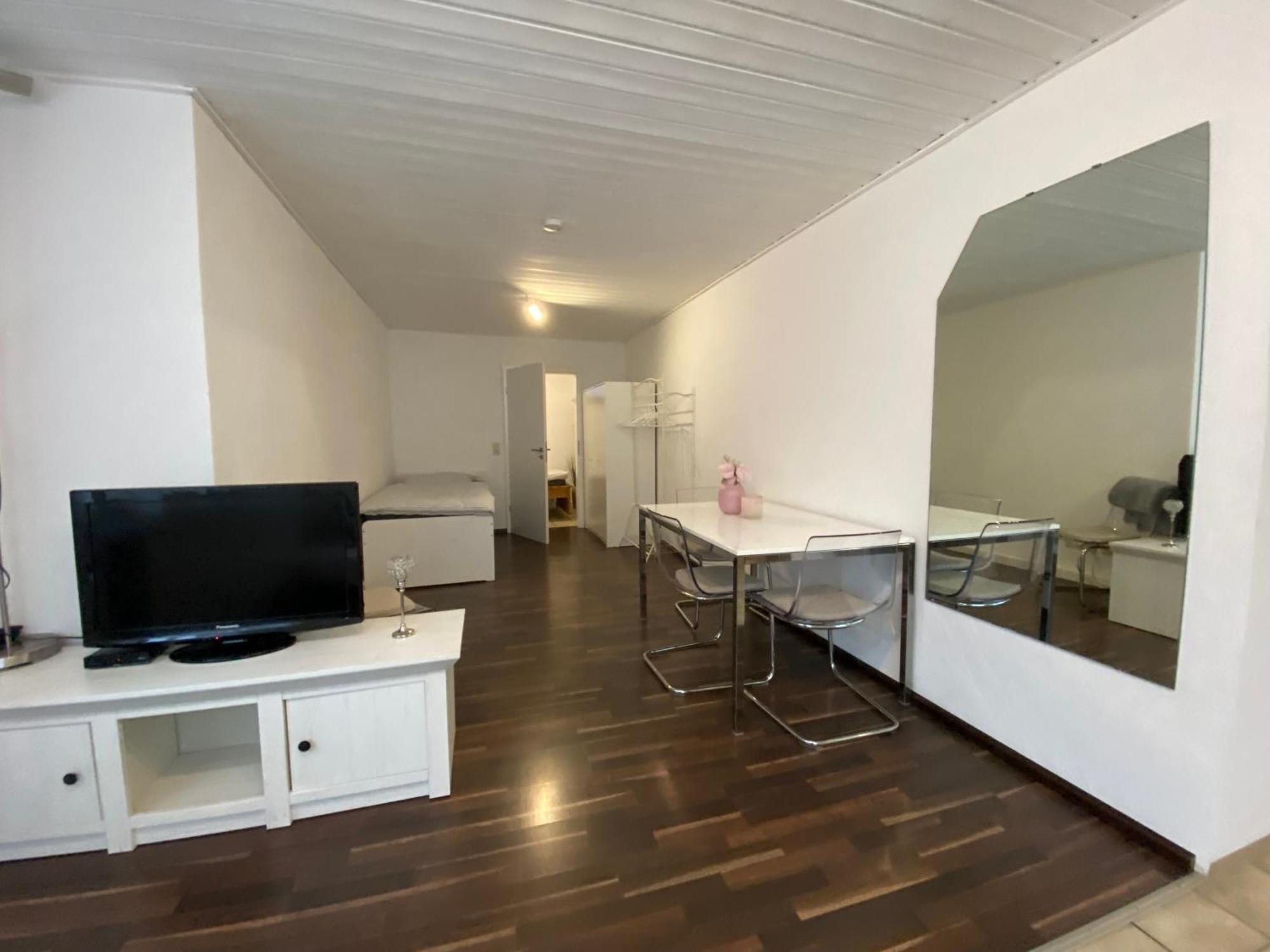Geiger Apartment